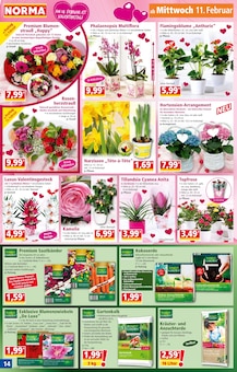 Gartenerde im Norma Prospekt "Mehr fürs Geld" mit 20 Seiten (Stuttgart)