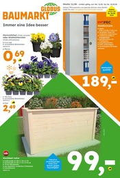 Netto MarkenDiscount Blumen Angebot ᐅ Finde den Preis im aktuellen