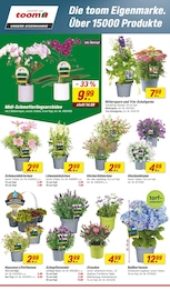 Aktueller toom Baumarkt Prospekt mit Orchidee, "Respekt, wer's selber macht.", Seite 4