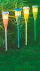 Solar-Fackel von Garden Dream im aktuellen Netto mit dem Scottie Prospekt