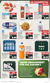 Aktueller Kaufland Prospekt mit Stauden, "Aktuelle Angebote", Seite 19