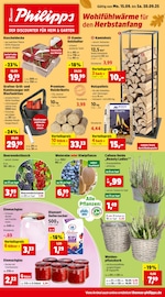 Aktueller Thomas Philipps Discounter Prospekt in Nackenheim und Umgebung, "Top Angebote" mit 11 Seiten, 15.09.2025 - 20.09.2025