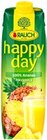 Happy Day Ananas Angebote von RAUCH bei Kaufland Neubrandenburg für 1,99 €