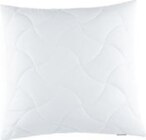 Aktuelles Kopfkissen Angebot bei ROLLER in Cottbus ab 14,99 €