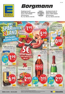 EDEKA Prospekt "Aktuelle Angebote" mit  Seiten (Rheine)