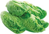 Roma Salatherzen Angebote bei REWE Heidenheim für 1,19 €