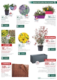 Offre Photinia dans le catalogue Botanic du moment à la page 5