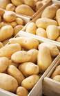 Filet de pommes de terre 5 kg à Netto dans Moulin-Mage