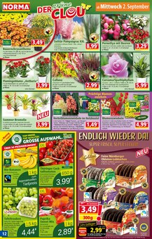 Blumen im Norma Prospekt "Mehr fürs Geld" mit 28 Seiten (Jena)