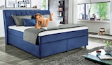 Aktuelles Boxspringbett BRILLANT Angebot bei Ostermann in Essen ab 999,00 €