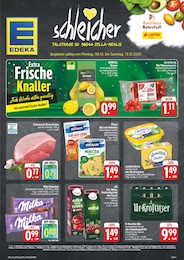 EDEKA Prospekt für Zella-Mehlis mit 28} Seiten EDEKA Prospekt für Zella-Mehlis: "Wir lieben Lebensmittel!", 28 Seiten, 08.12.2025 - 13.12.2025