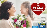 Aktuelle Blumen Angebote bei Lidl in Herne Aktuelles Muttertagsstrauß Angebot bei Lidl in Herne ab 7,99 €
