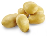 Speisekartoffeln im Angebot bei METRO in Sankt Augustin Speisekartoffeln Angebote von Metro Chef bei METRO Sankt Augustin für 6,94 €