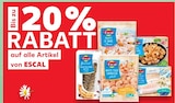 Kaufland Herten Prospekt mit  im Angebot für 