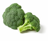 Brokkoli für 1,09 € bei Lidl im Angebot Brokkoli im aktuellen Lidl Prospekt