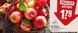 Rote Tafeläpfel Angebote von REWE Regional bei REWE Bornheim für 1,79 €