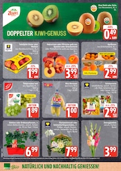 Blumen im EDEKA Prospekt in Cuxhaven Aktueller EDEKA Prospekt mit Blumen, "Top Angebote", Seite 8