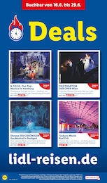 Lidl Fanartikel im Prospekt Lidl Fanartikel im Prospekt