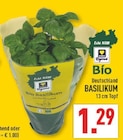 Aktuelles Bio Basilikum Angebot bei Marktkauf in Wuppertal ab 1,29 €