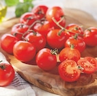 Tomate ronde en grappe bio - MON MARCHÉ PLAISIR en promo chez Intermarché Pau à 1,69 €