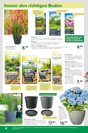 Blumentopf im BayWa Bau- und Gartenmärkte Prospekt in Reutlingen Aktueller BayWa Bau- und Gartenmärkte Prospekt mit Blumentopf, "Hier bin ich gern", Seite 6