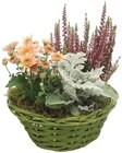 Herbstkorb im Angebot bei REWE in Oldenburg Herbstkorb Angebote bei REWE Oldenburg für 9,99 €