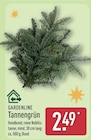 Tannengrün von Gardenline für 2,49 € bei ALDI Nord im Angebot Tannengrün von Gardenline im aktuellen ALDI Nord Prospekt