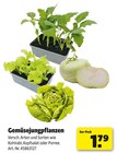 Angebot im Hagebaumarkt Glückstadt Prospekt Hagebaumarkt Glückstadt Prospekt mit im Angebot für 1,79 €
