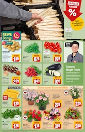 Nelke Angebot im aktuellen REWE Prospekt auf Seite 7