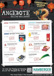 Saucen Angebot im aktuellen Hamberger Prospekt auf Seite 3