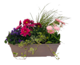 Composition de saison à Truffaut dans Villiers-sur-Marne Composition de saison à Truffaut dans Villiers-sur-Marne