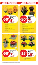 Chrysanthèmes en promo dans le catalogue Hyper U à la page 40