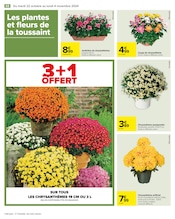 Chrysanthèmes Angebote im Prospekt "HAHA HALLOWEEN" von Carrefour auf Seite 70