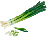 Lauchzwiebeln im Marktkauf Prospekt Lauchzwiebeln im aktuellen Marktkauf Prospekt für 0,69 €