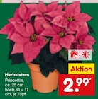 Aktuelle Pflanzen Angebote bei Netto Marken-Discount in Aachen Aktuelles Herbststern Angebot bei Netto Marken-Discount in Aachen ab 2,99 €