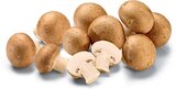 Champignon braun im Angebot bei Netto Marken-Discount in Halle Champignon braun Angebote bei Netto Marken-Discount Halle für 1,79 €