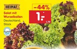 Salat mit Wurzelballen im Netto Marken-Discount Prospekt Salat mit Wurzelballen von Heimat im aktuellen Netto Marken-Discount Prospekt für 1,00 €