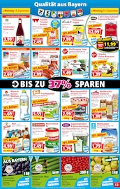 Aktueller Norma Prospekt mit Mehl, "Mehr fürs Geld", Seite 13