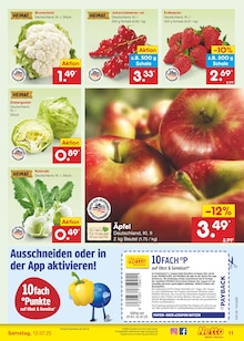 Blumenkohl im aktuellen Netto Marken-Discount Prospekt (Nürnberg) Blumenkohl im Netto Marken-Discount Prospekt "Aktuelle Angebote" mit 63 Seiten (Nürnberg)