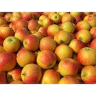 Pomme Reine des Reinettes en promo chez Carrefour Bordeaux à 2,99 €