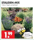 Stauden-Mix Angebote bei Wreesmann Freiberg für 1,99 €