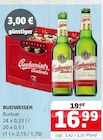 Budvar Angebote von Budweiser bei Getränke Quelle Weydringer Paderborn für 16,99 €