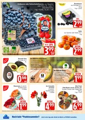 Farbe im Marktkauf Prospekt in Wismar Aktueller Marktkauf Prospekt mit Farbe, "Top Angebote", Seite 8