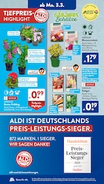 Tomaten Angebot im aktuellen ALDI SÜD Prospekt auf Seite 6