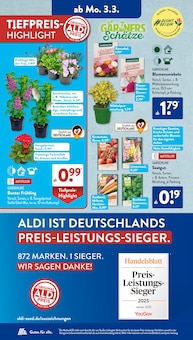 Tulpen im ALDI SÜD Prospekt "Gutes für Alle." mit 32 Seiten (Wiesbaden)