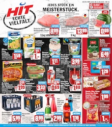HIT Prospekt mit 19 Seiten (Plate)