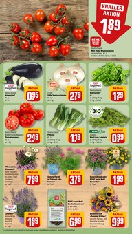 Pfanne im aktuellen REWE Prospekt (Saarbrücken) Pfanne im REWE Prospekt "Dein Markt" mit 26 Seiten (Saarbrücken)