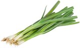 REWE - Lauchzwiebeln Angebot im Prospekt Lauchzwiebeln bei REWE im Prospekt "" für 0,65 €