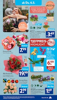 Orchidee Angebot im aktuellen ALDI SÜD Prospekt auf Seite 9