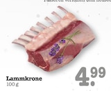 Aktuelles Lammkrone Angebot bei E center in Mainz ab 4,99 €